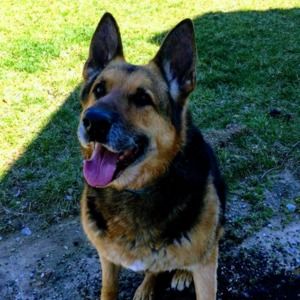 Meet your Posher, Ashley